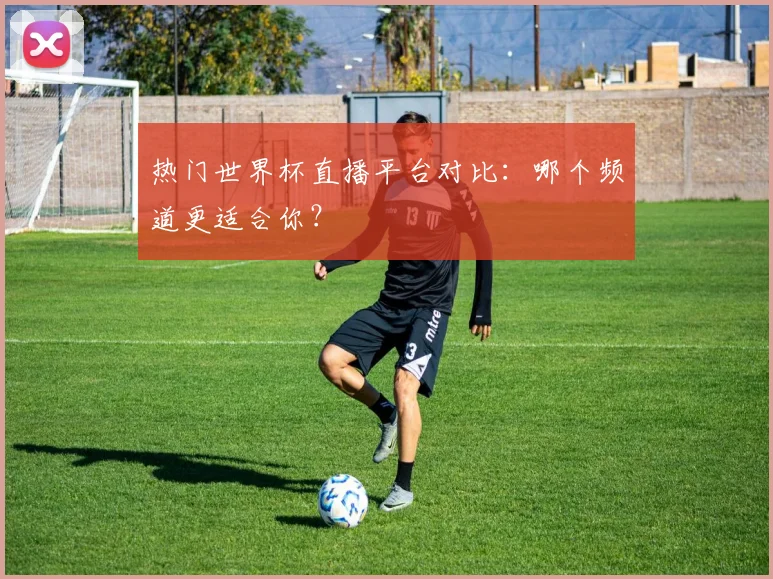 热门世界杯直播平台对比：哪个频道更适合你？