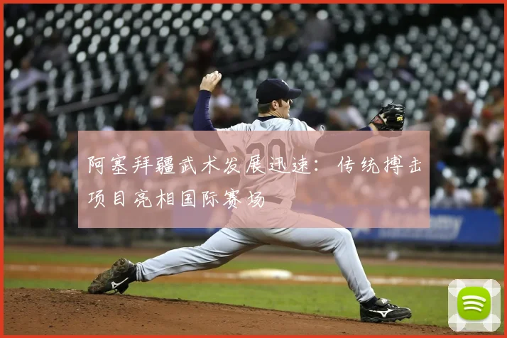 阿塞拜疆武术发展迅速：传统搏击项目亮相国际赛场