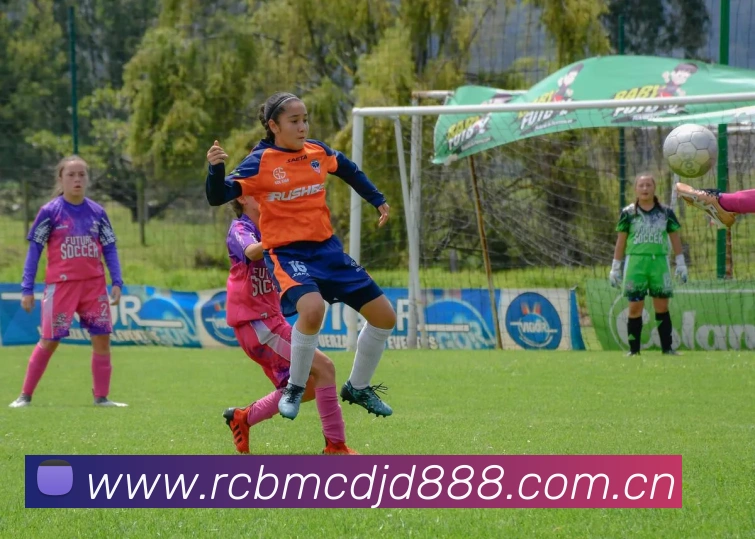 ayx爱游最新官网APP 封面图